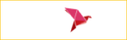 bKash